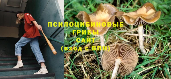 трава Снежногорск