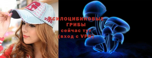 mdpv Куровское