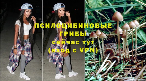 трава Снежногорск