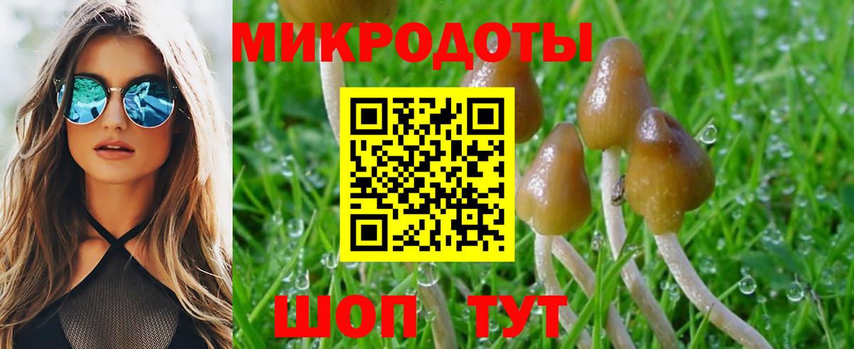 Строитель  Галлюциногенные грибы MAGIC MUSHROOMS  Вход с VPN 
